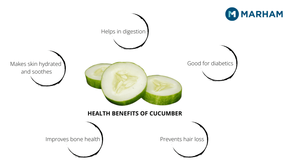 The Importance Of Cucumber Sexually In Males And Females