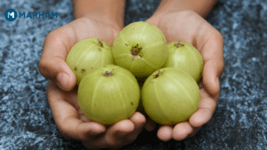 Amla - The Indian Gooseberry