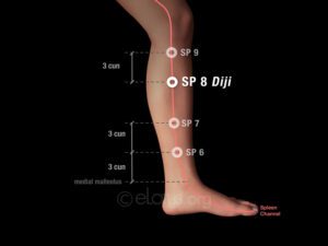 SP8 (Spleen 8)